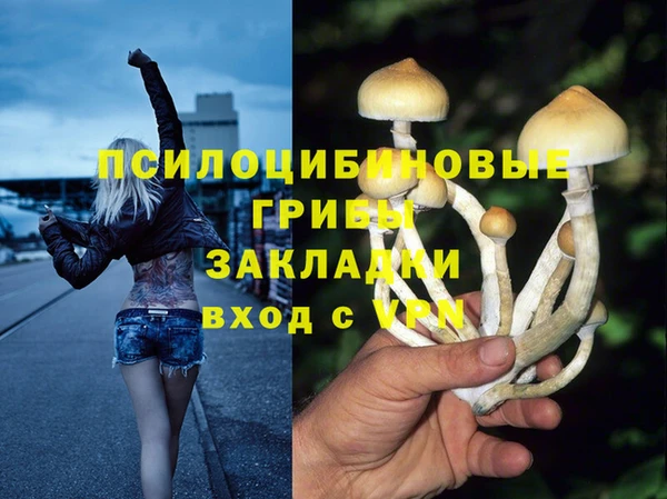 2c-b Баксан